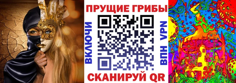 кракен ТОР  Мензелинск  Псилоцибиновые грибы Psilocybine cubensis 